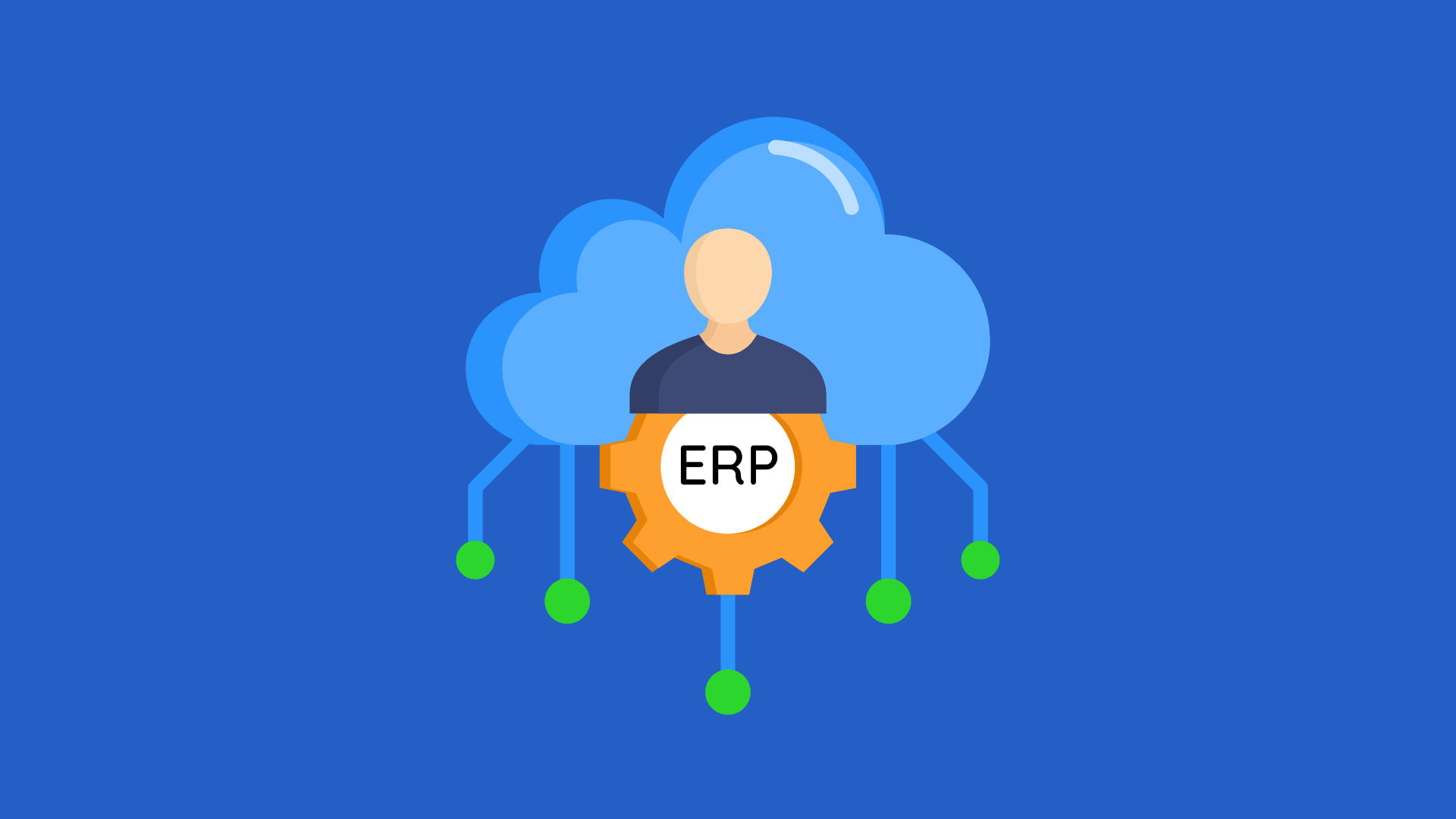 Welche Rolle spielt ein ERP-Integrator?